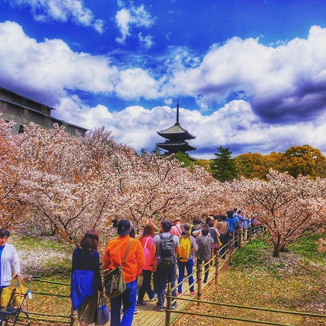 You are currently viewing Japanese Etiquette Explained! How to Behave In Any Travel Situation.