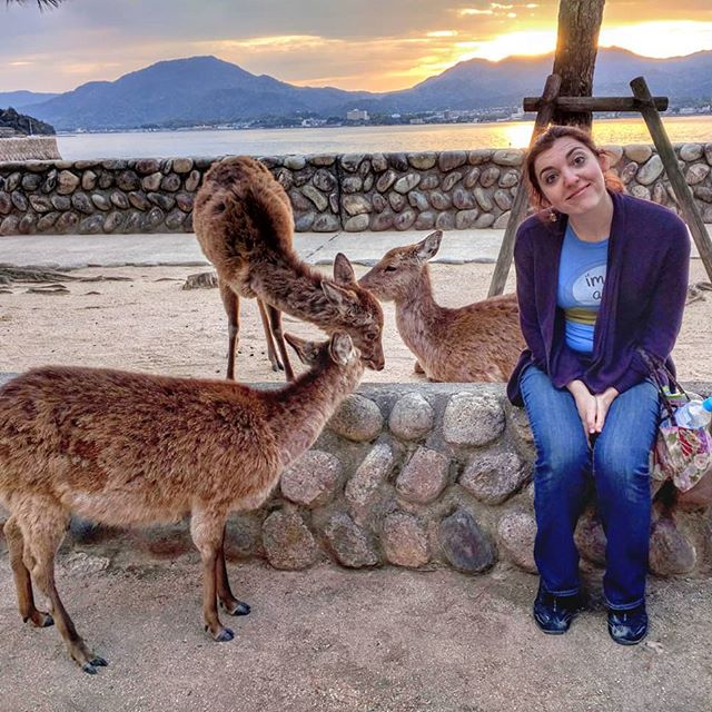 Miyajima deer