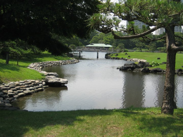 Hamarikyu view